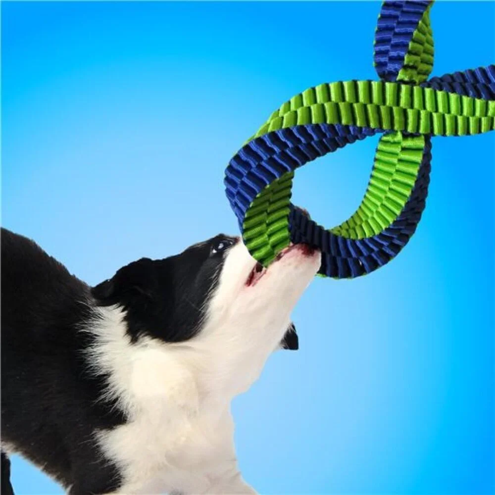 Infinity Tuff Tug Dog Toy with Durable Braided Nylon, 12 inches